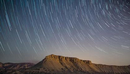 王楚钦4-1战胜袁励岑 夺得全运会乒乓球男单铜牌